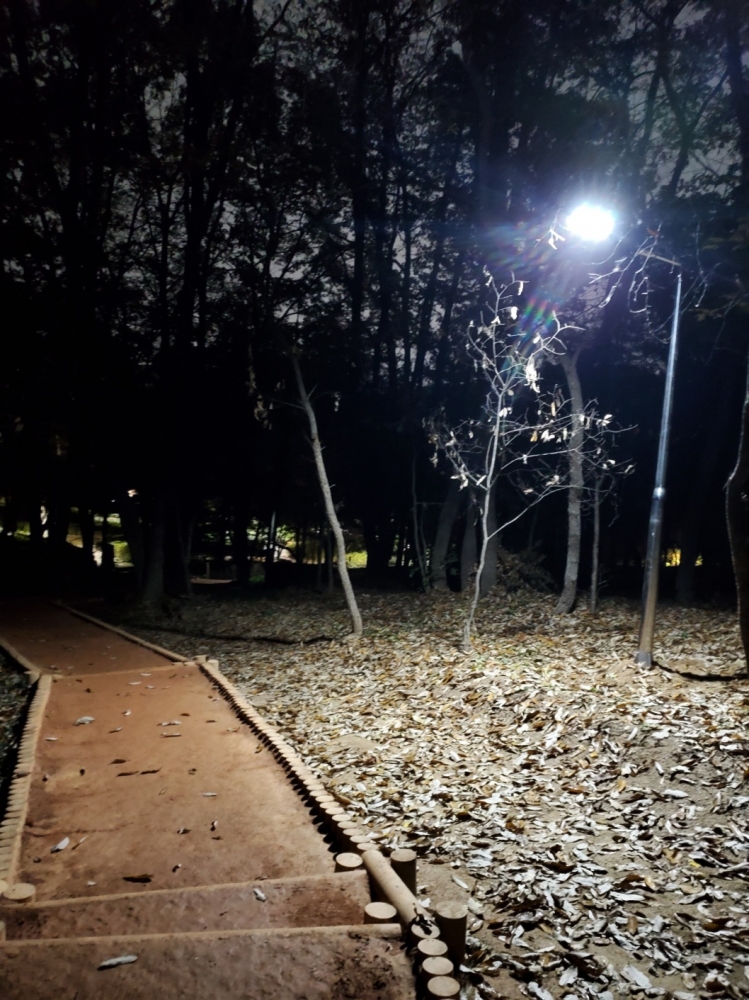 성남시 대원공원태양광가로등 설치공사3.jpeg