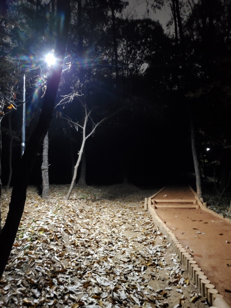 성남시 대원공원태양광가로등 설치공사2.jpeg