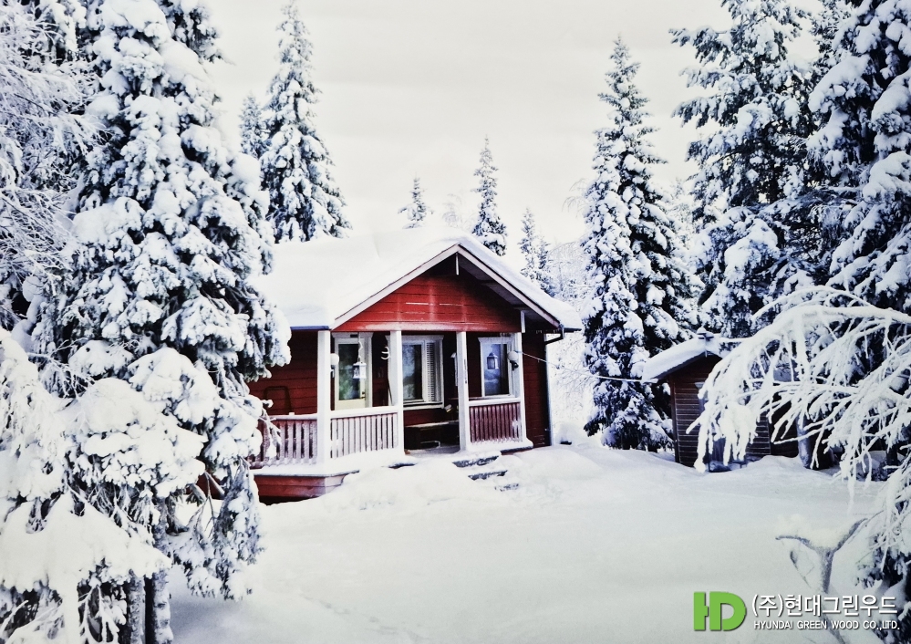 눈...주택 2 복사.jpg